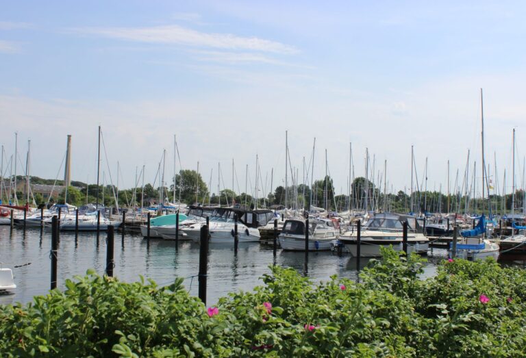 IMG_3397 re