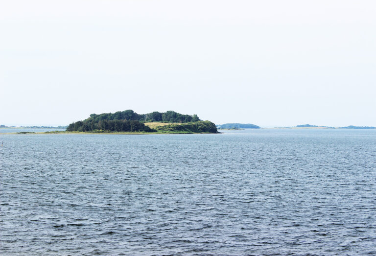 vigø re
